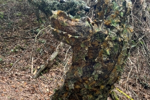 Naključne fotografije