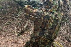 5f365c6c-041e-476b-82b6-fdb9842a13db